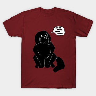 Newfie and food T-Shirt